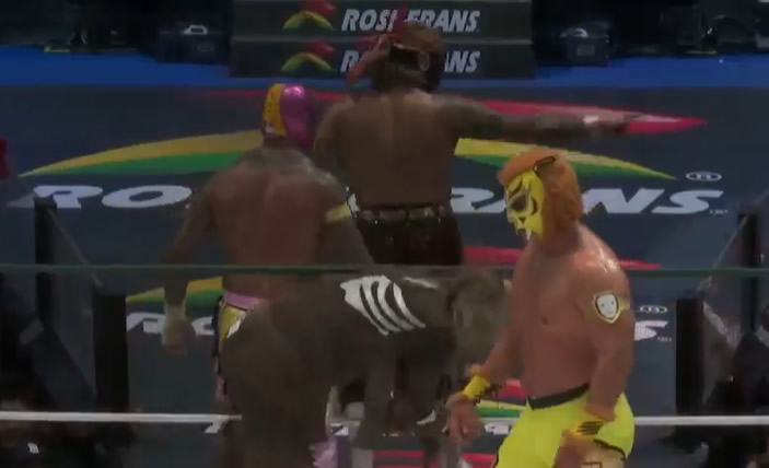 Equipo-CMLL.jpg