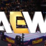 aew-logo2.webp.jpeg
