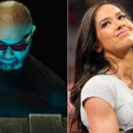 batista-aj-lee.jpg