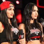 bella-twins.webp.jpeg