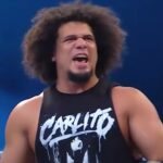 carlito-1.jpg