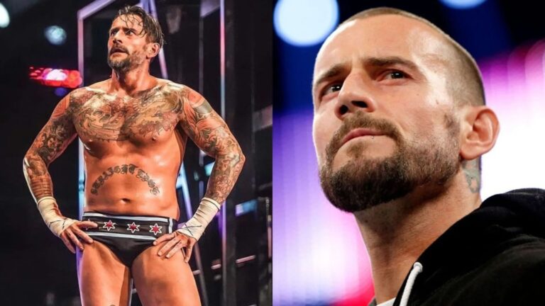 cm-punk-1.webp.jpeg