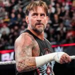 cm-punk-33.webp.jpeg