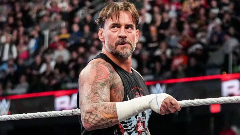 cm-punk-33.webp.jpeg