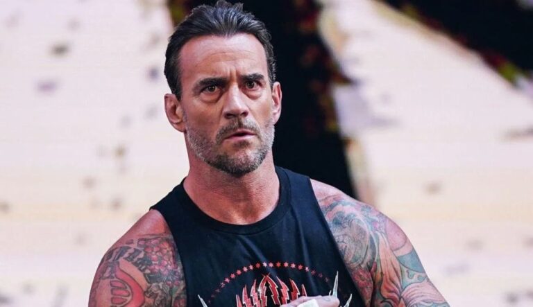 cm-punk-wwe33.webp.jpeg