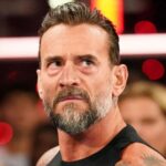 cm-punk-wwess.webp.jpeg