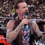 cm-punk22.webp.jpeg