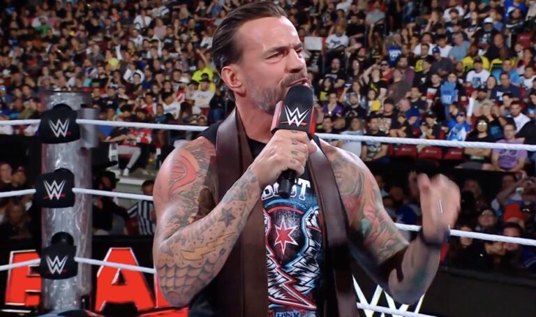cm-punk22.webp.jpeg