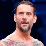 cm-punkwwe2.webp.jpeg