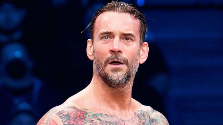 cm-punkwwe2.webp.jpeg