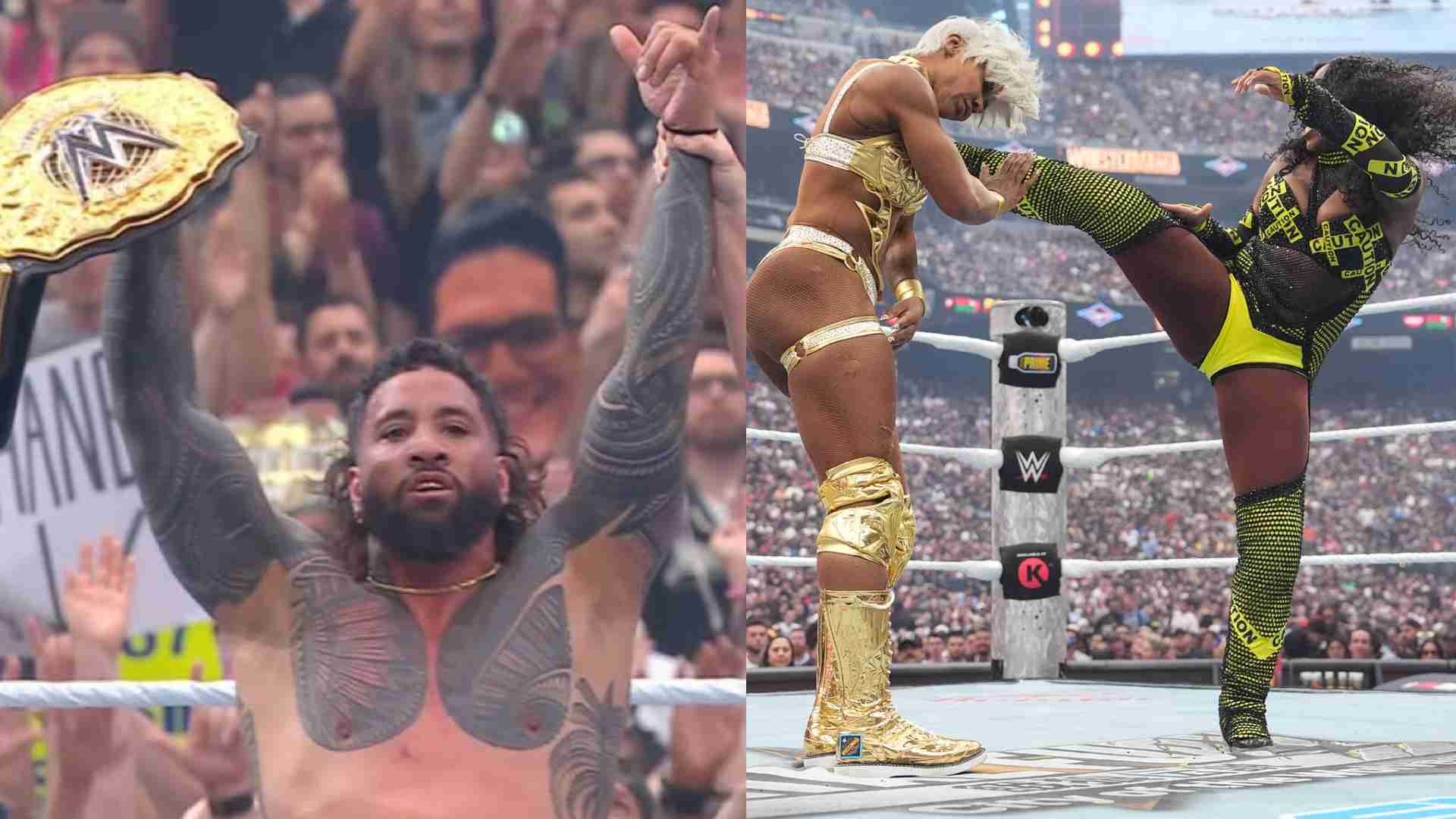 manua-uso-jade-2.jpg