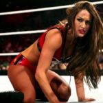 nikki-bella.jpg