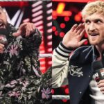 rollins-logan-paul_11zon.webp.jpeg