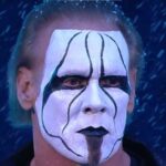 sting.webp.jpeg