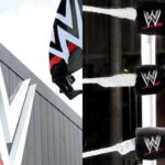 wwe-logo-wwe.webp.jpeg