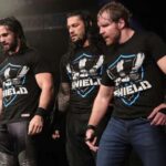 wwe-shield.webp.jpeg