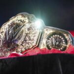 1751816140_wwe-title.webp.jpeg