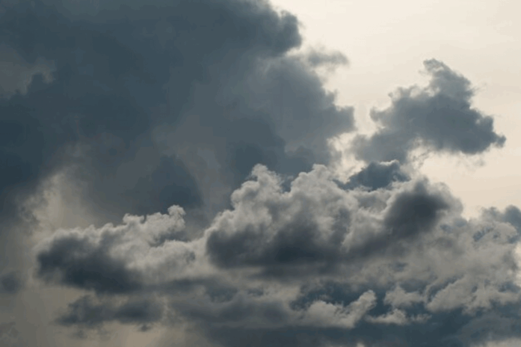 686ab4e324576.png