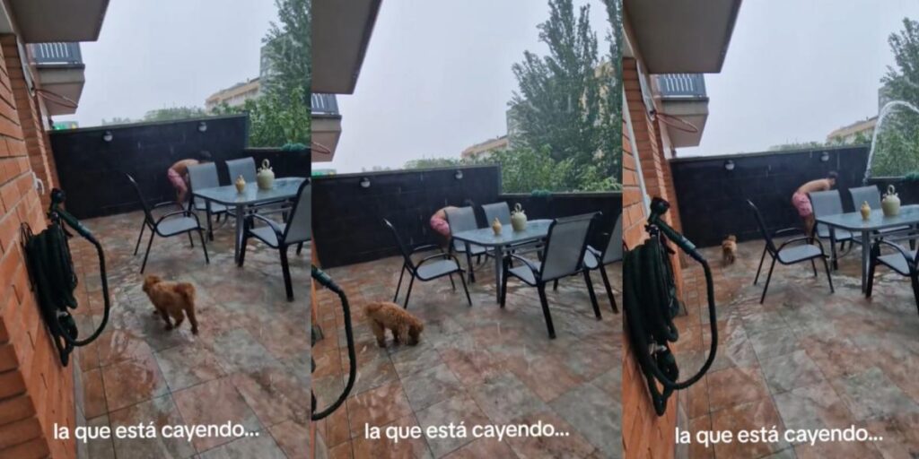 6872815fc5fe6.jpeg