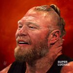 Brock-Lesnar-d-002.jpg