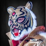 Tiger-Mask-IV.jpg