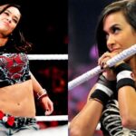 aj-lee.webp.jpeg