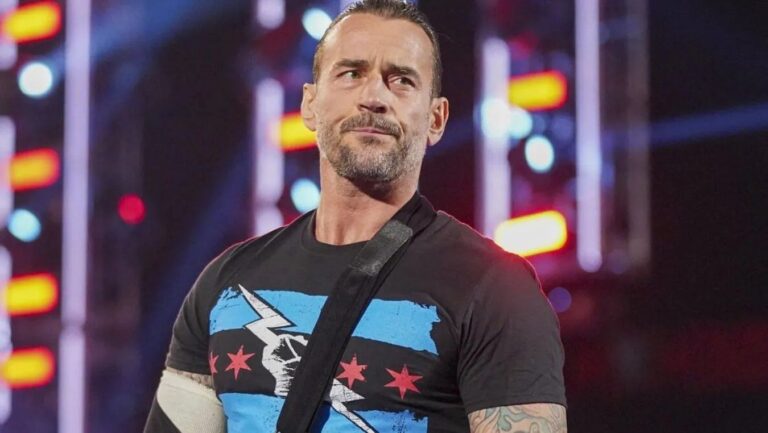 cm-punkwwe.webp.jpeg