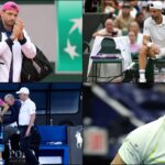 dimitrov.jpg