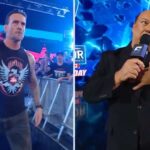 heyman-y-punk.webp.jpeg
