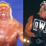hulk-hogan-wcw.webp.jpeg