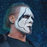 sting.webp.jpeg