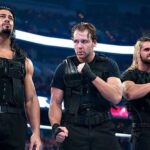 the-shield.webp.jpeg