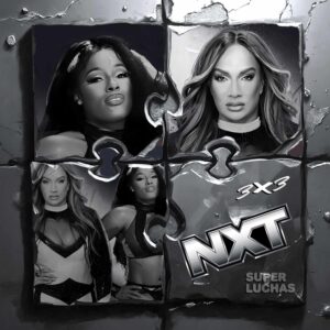 3x3-WWE-NXT-12-de-agosto-2025.jpg