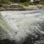 6623b21ed8628.r_d.1821-1481-0.jpeg