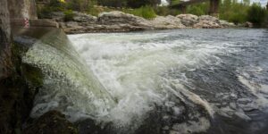 6623b21ed8628.r_d.1821-1481-0.jpeg