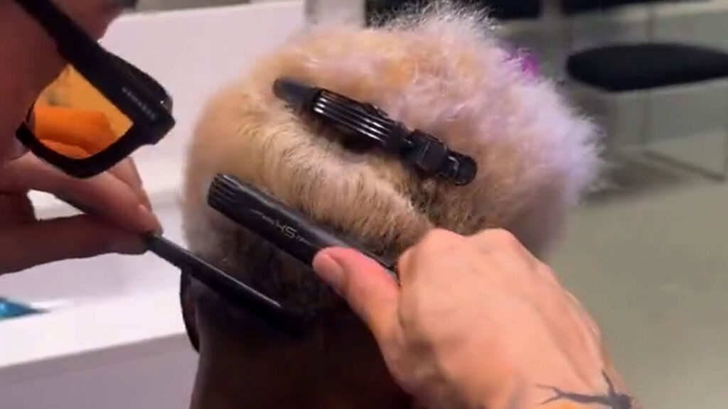 pelo-1.jpg