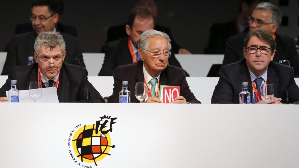 rfef.jpg